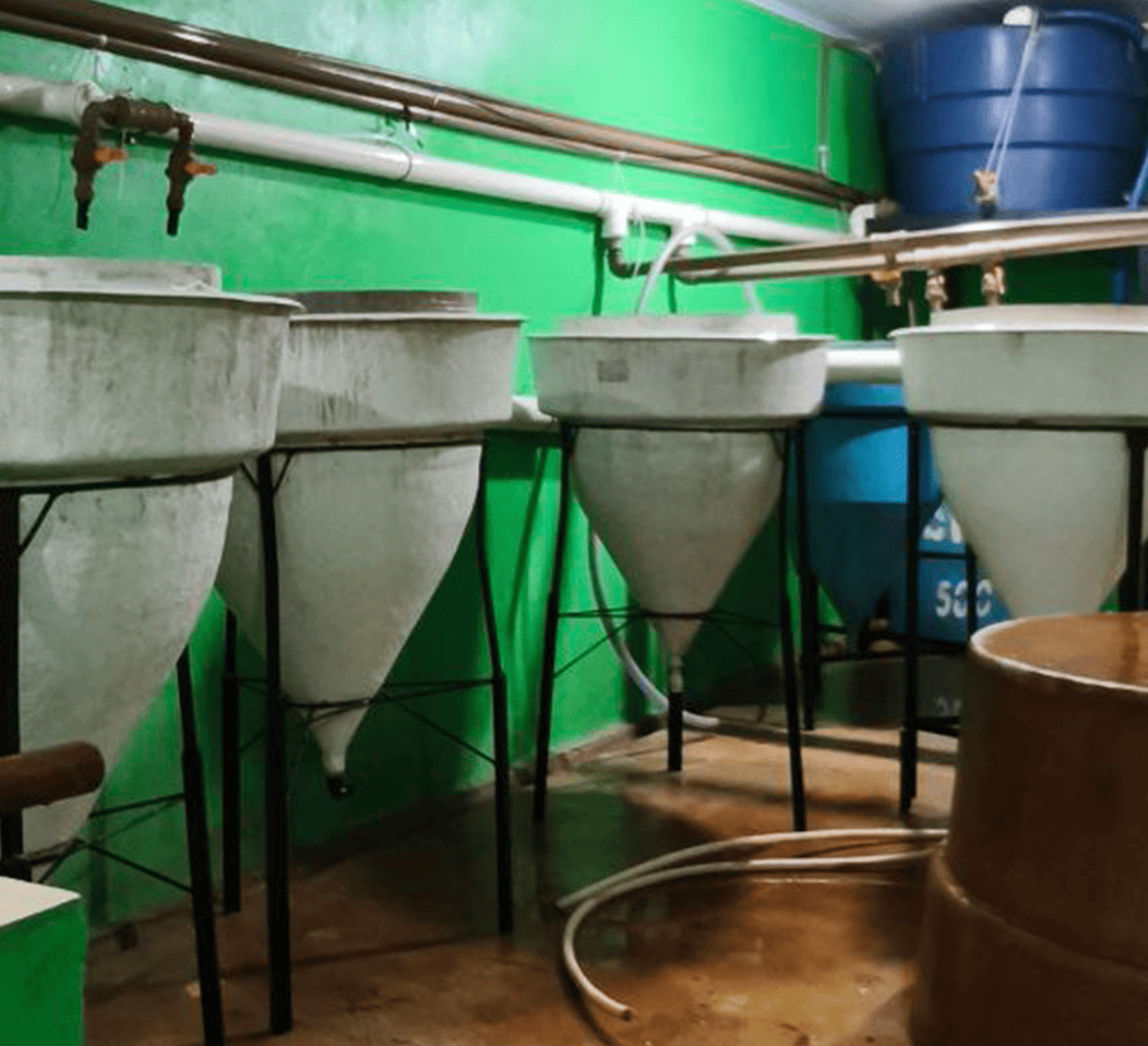 Laboratorio calidad